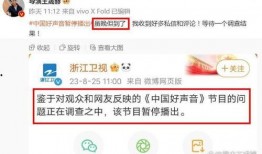 女子爆料好声音视频在线观看,独家视频在线观看，揭秘幕后真相